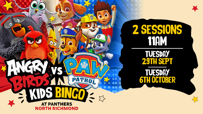 Angry Birds vs Paw Patrol Kids Bingo